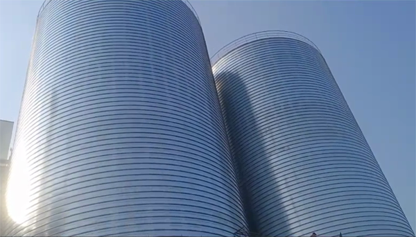 南开乡2座混凝土高架卷板仓